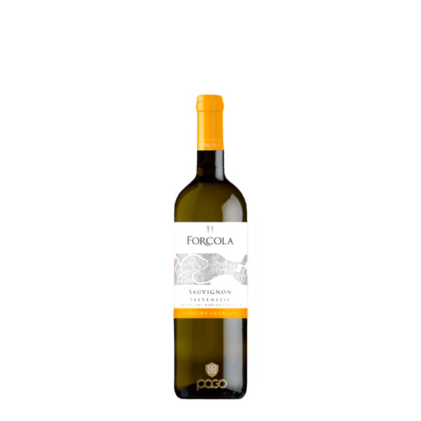 Sauvignon Trevenezie Forcola 12,5%